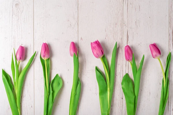Set Tulips White Wooden Background — Stock Photo, Image
