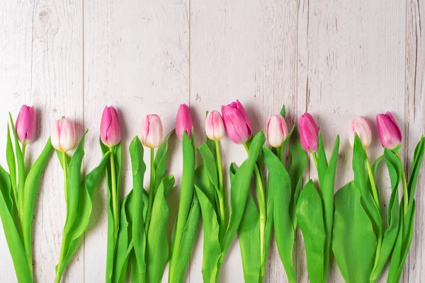 Set Tulips White Wooden Background — Stock Photo, Image