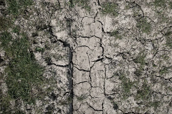 Terreno Seco Rachado Sem Chuva Falta Humidade — Fotografia de Stock