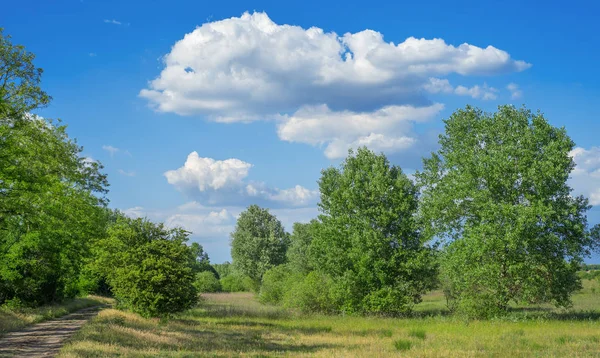 Bulutlu Mavi Gökyüzü Ile Düz Manzara Arka Plan — Stok fotoğraf