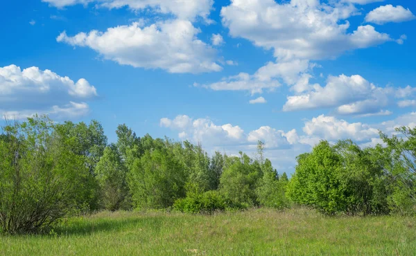 Sfondo Paesaggio Pianura Con Cielo Nuvoloso Blu — Foto Stock