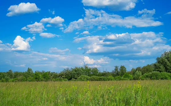 Sfondo Paesaggio Pianura Con Cielo Nuvoloso Blu — Foto Stock