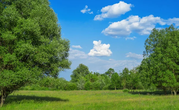 Vanligt Landskap Bakgrund Med Blå Molnig — Stockfoto