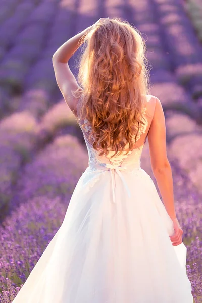 Beautiful Bride Wedding Day Lavender Field Beautiful Blond Woman — Stock Photo, Image