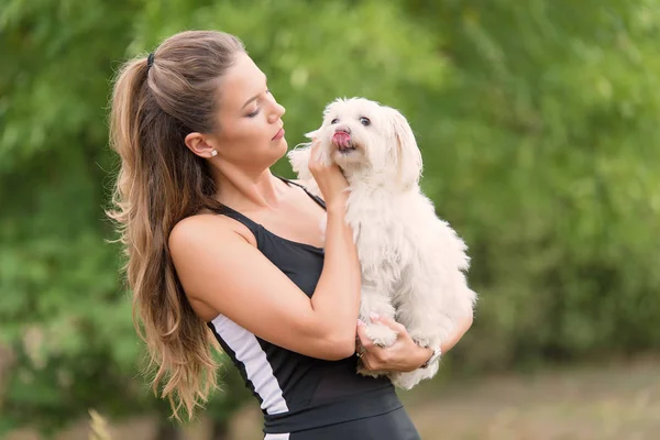 Bichon bolognese köpek parkta güzel sahibi ile