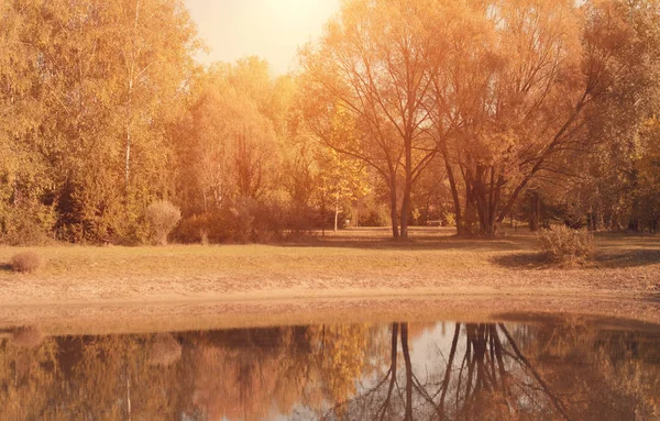秋天美丽的公园 — 图库照片
