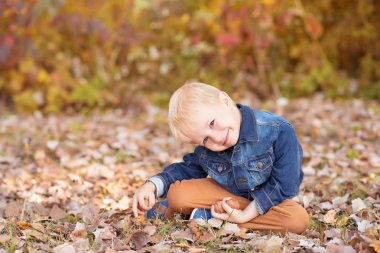 Küçük çocuk rahatlatıcı sonbahar parkta yaprakları arasında