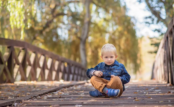 Чарівний Маленький Хлопчик Дерев Яному Мосту Природі — стокове фото