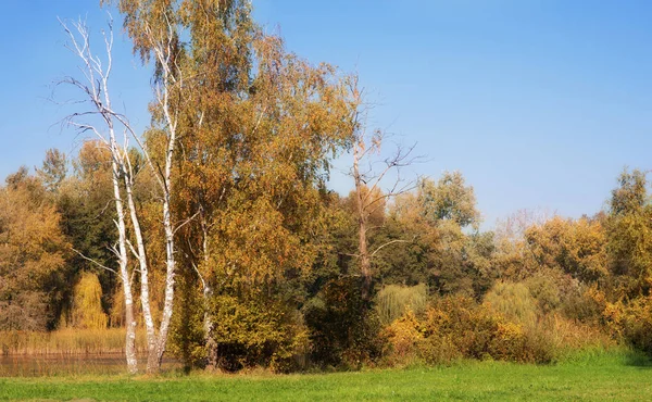 Herbst Park Saisonfoto — Stockfoto