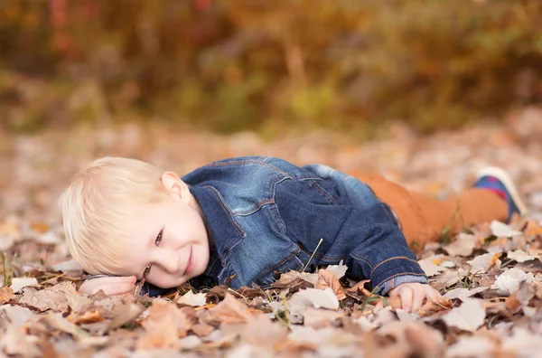 Little Boy Relaxing Autumn Park Leaves — Stock Photo, Image