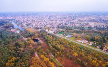 Renkli sonbahar orman. Drone görünümü