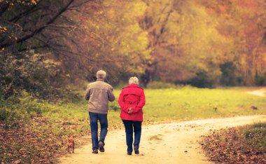 Yaşlı çift sonbahar ormanda yürüyüş. 