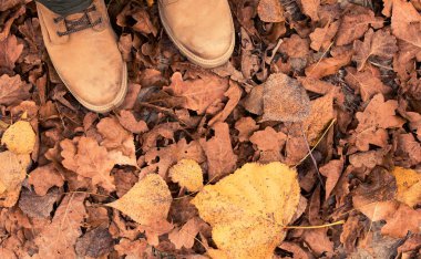 Düşen sonbahar yaprakları çizme deri. Görünümün üst