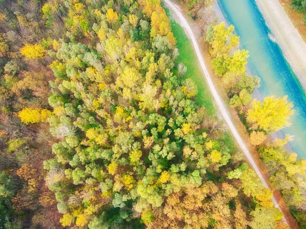 Colorful autumn forest. Drone view