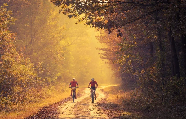 Два Человека Катаются Велосипеде Красивом Осеннем Лесу — стоковое фото