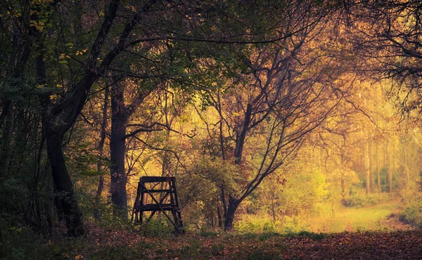 晴れた日は秋の森でハンター タワー — ストック写真