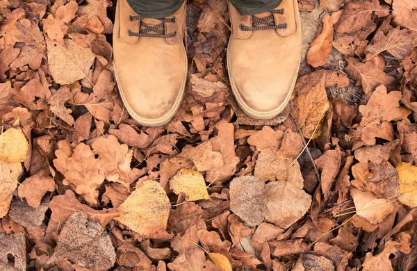 Bottes Cuir Sur Les Feuilles Automne Tombées Haut Page — Photo