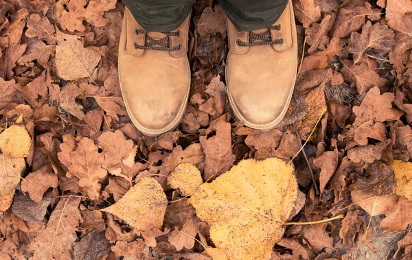 Δερμάτινες Μπότες Πάνω Στα Πεσμένα Φύλλα Του Φθινοπώρου Κορυφή Της — Φωτογραφία Αρχείου