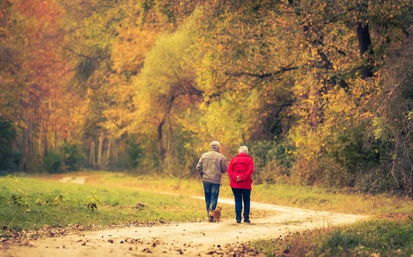 秋の森を歩く老夫婦 — ストック写真