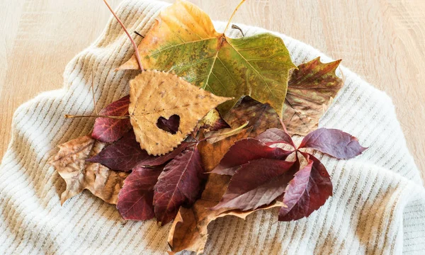 Herfst Concept Een Houten Achtergrond — Stockfoto