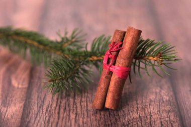 Çam dal tarçın tahta arka plan ile. Noel kavramı