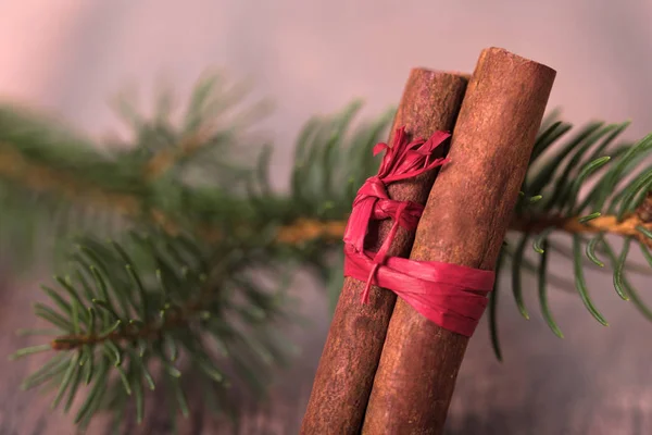 松枝与肉桂在木背景 圣诞节的概念 — 图库照片