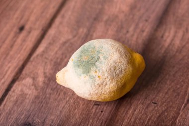 Ahşap dokulu bir arka plan üzerinde küflenmiş limon
