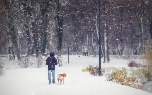 Jeune Homme Marchant Avec Son Chien Dans Parc Hiver — Photo