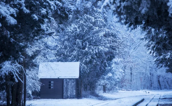 Pequena Casa Madeira Natureza Inverno Azul Tonificado Foto — Fotografia de Stock