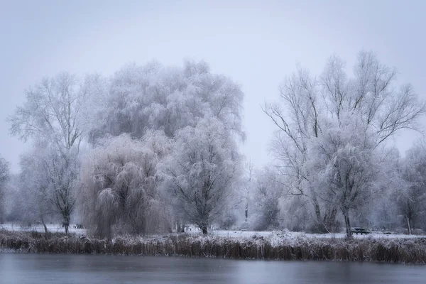 Зимовий Пейзаж Засніженій Природі — стокове фото