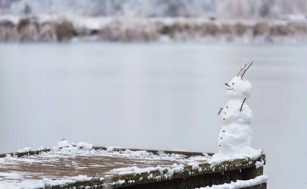 冬の日は自然の中で雪だるまくんが立って — ストック写真