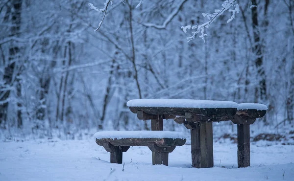 Wooden Bench Winters Day Snowy Nature Blue Toned Photo — Stock Photo, Image