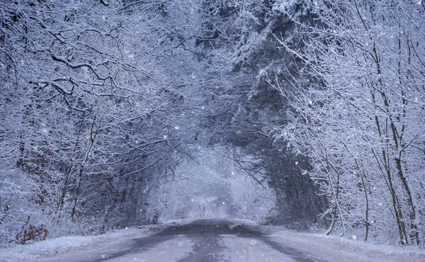 Зимняя Дорога Лесу Синяя Тонированная Фотография — стоковое фото