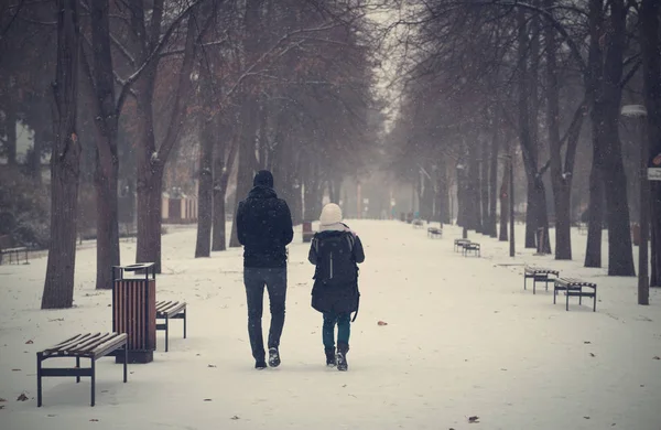 Couple Marchant Dans Parc Hiver Photo Tonique Foncée — Photo