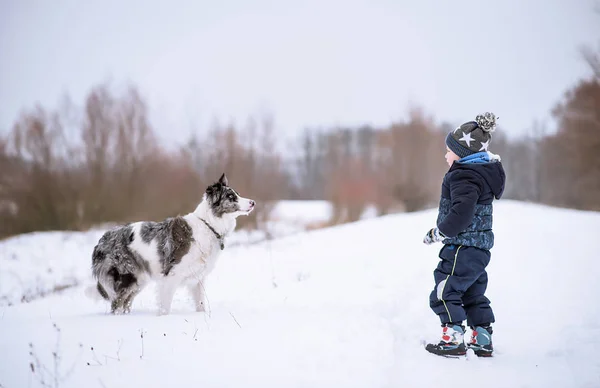 Junge Mit Hund Winterpark — Stockfoto