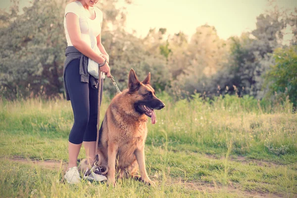 German shepherd dog with owner in the field — Stock Photo, Image