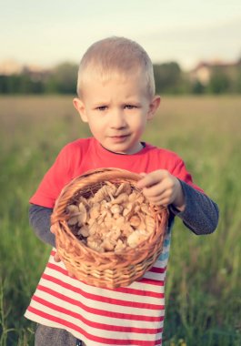 Genç çocuk tarlada mantar topluyor.