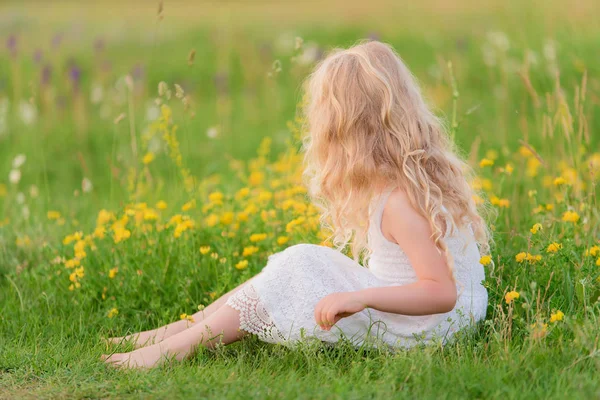 Beautiful blond little girl in the field — Stock Photo, Image
