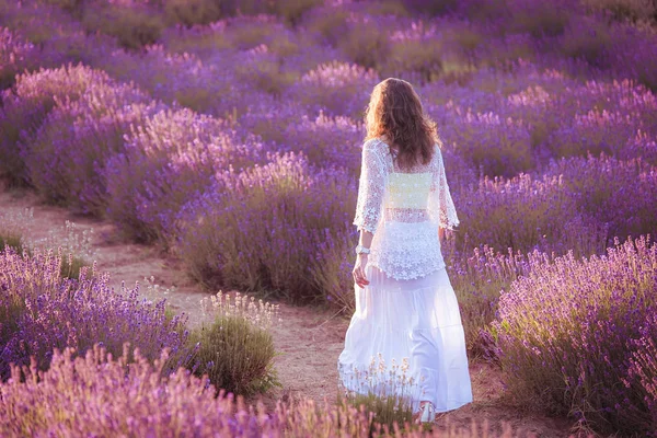 Mulher bonita andando no campo de lavanda — Fotografia de Stock