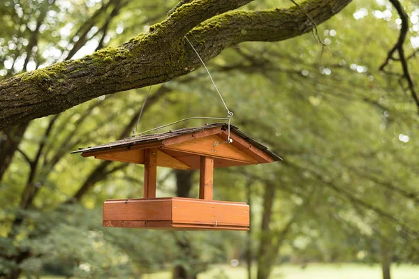 Bird feeder in the garden — Stock Photo, Image