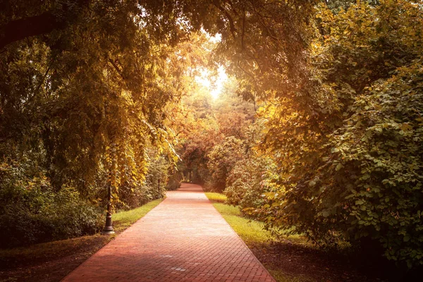 Photo of an autumn park — Stock Photo, Image