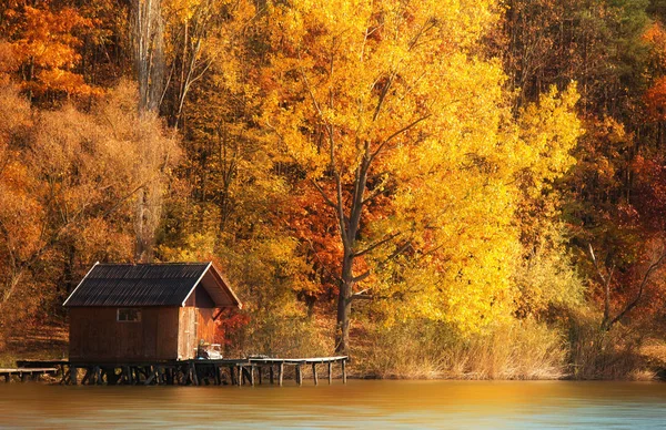 Деревянный дом осенью — стоковое фото