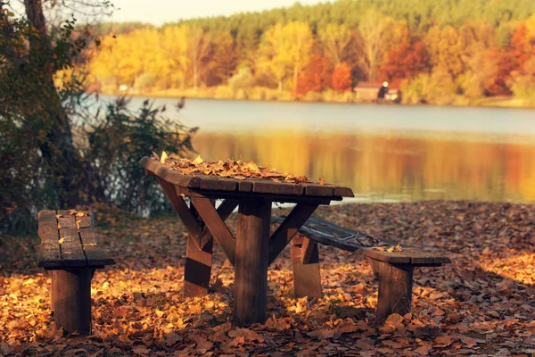 Lugar de picnic en el bosque —  Fotos de Stock