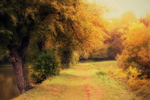 Foto Vacker Höstpark — Stockfoto