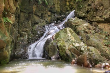 Ormanda küçük su Güz