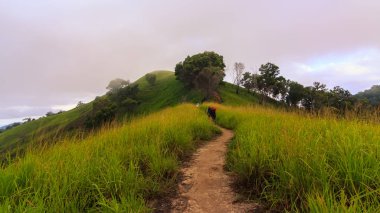 Güzel yaz manzara arka plan için kullanın