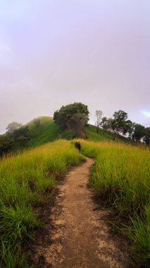 Güzel yaz manzara arka plan için kullanın