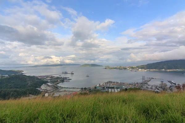 美丽的夏日风光 湛蓝的天空 风中的小草花 — 图库照片