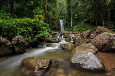 Derin orman şelale Crocker aralığı nalan Tambunan, Sabah, Malezya