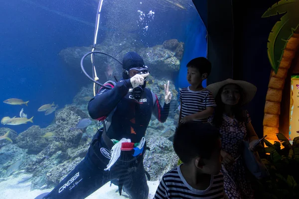 Singapore Juni Scuba Diver Reiniging Van Het Aquarium Aquarium Singapore — Stockfoto